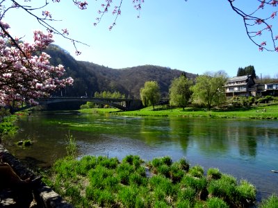 Les rives de la Semois, à Bohan, Ardenne Namuroise, Belgiq… 