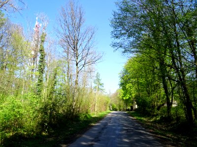 Cette petite route s'appelle Rue de la Garenne et file à… 