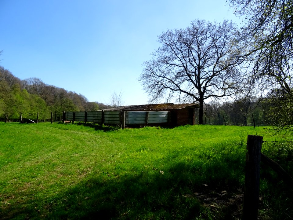 DSC01904 