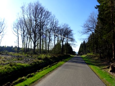 DSC02261 