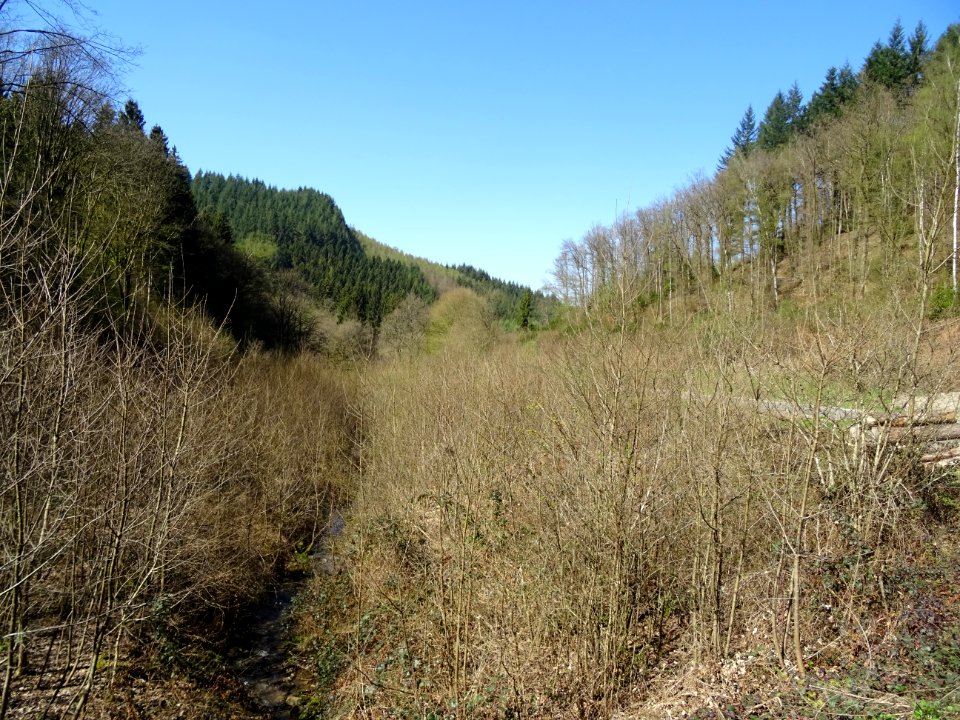 La rivière Le Bohan, Belgique 