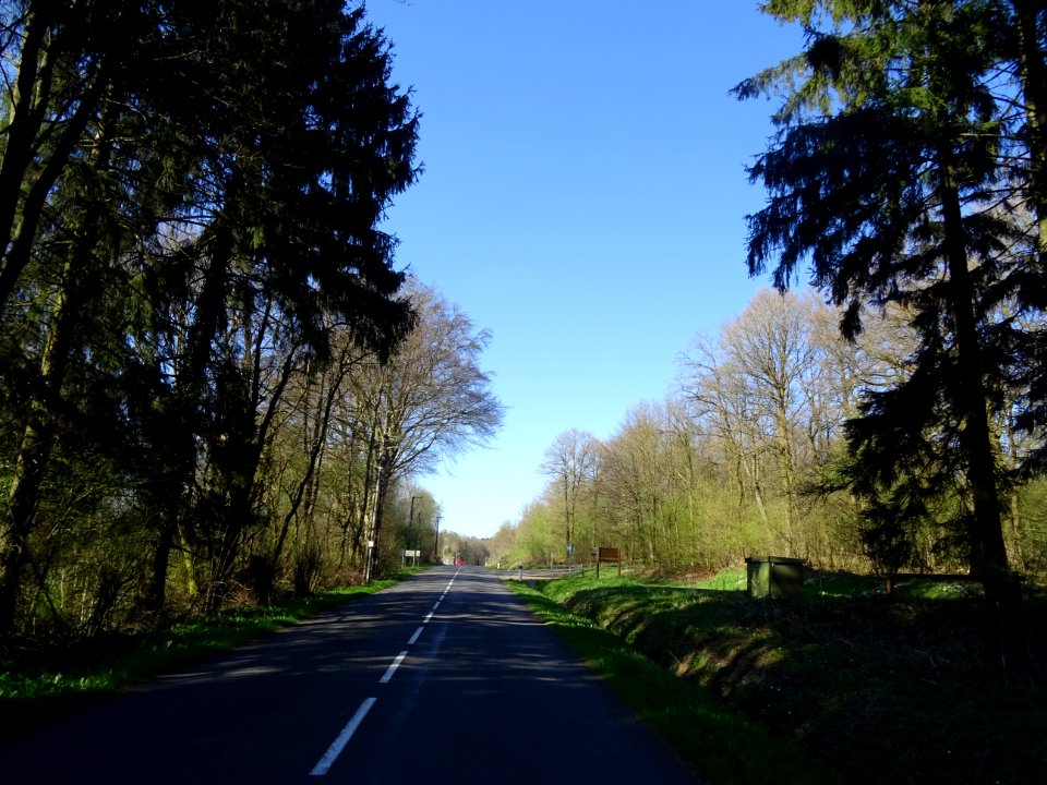 DSC02241 