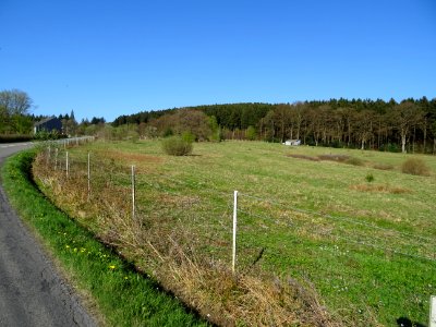 Vers le lieu-dit Maison forestière de la Chitte Collet, … 