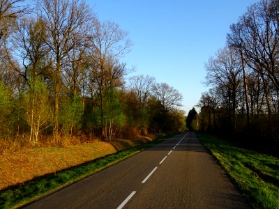 Lumière du soir avant Sécheval, Ardennes 