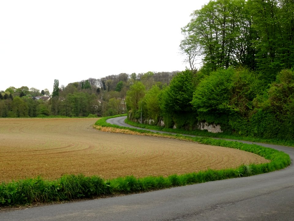 Lacets de la route avant d'arriver à Béthemont-la-Forêt, V… 