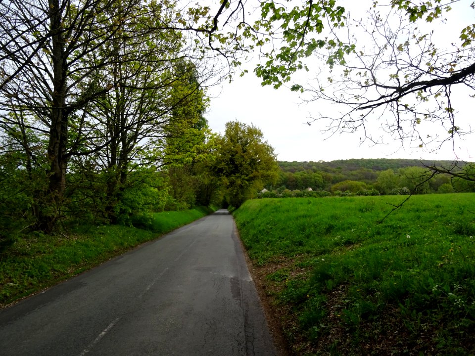 Entre Taverny et Béthemont-la-Forêt, Val-d'Oise 