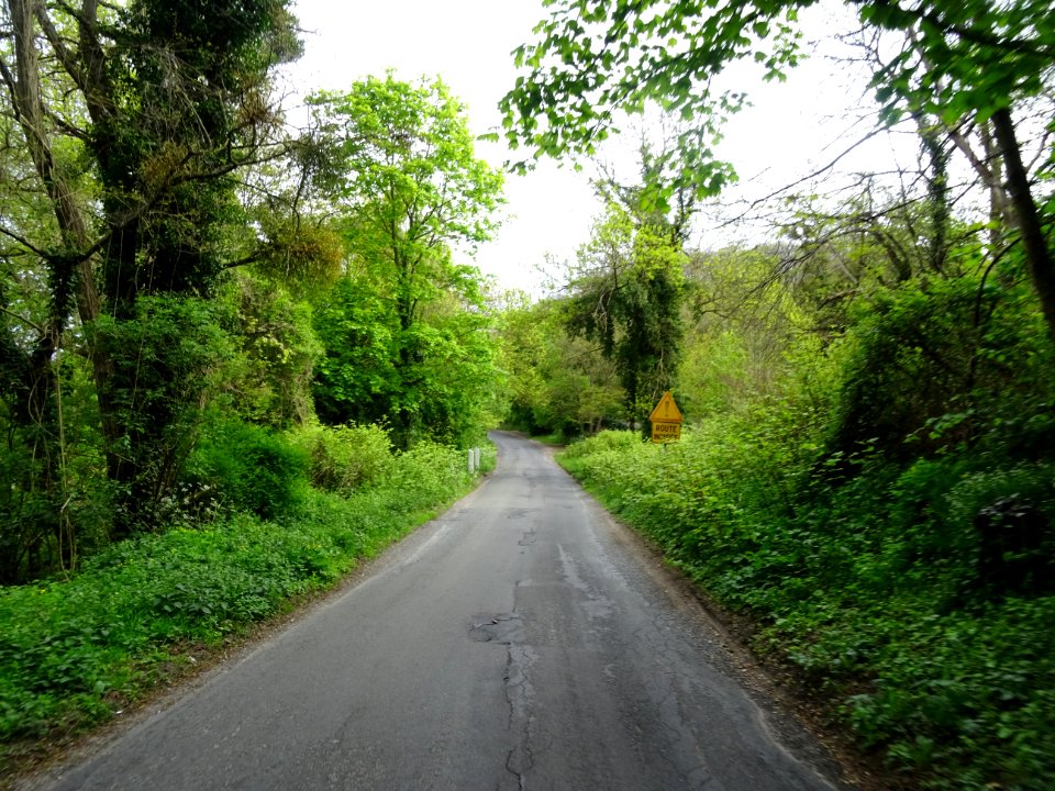 Forêt Domaniale de Montmorency, route entre Taverny et Bét… 
