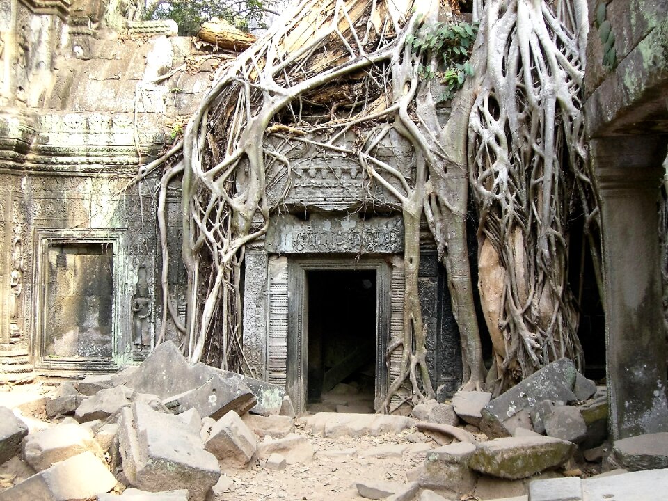 Expired angkor wat jungle