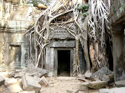 Expired angkor wat jungle