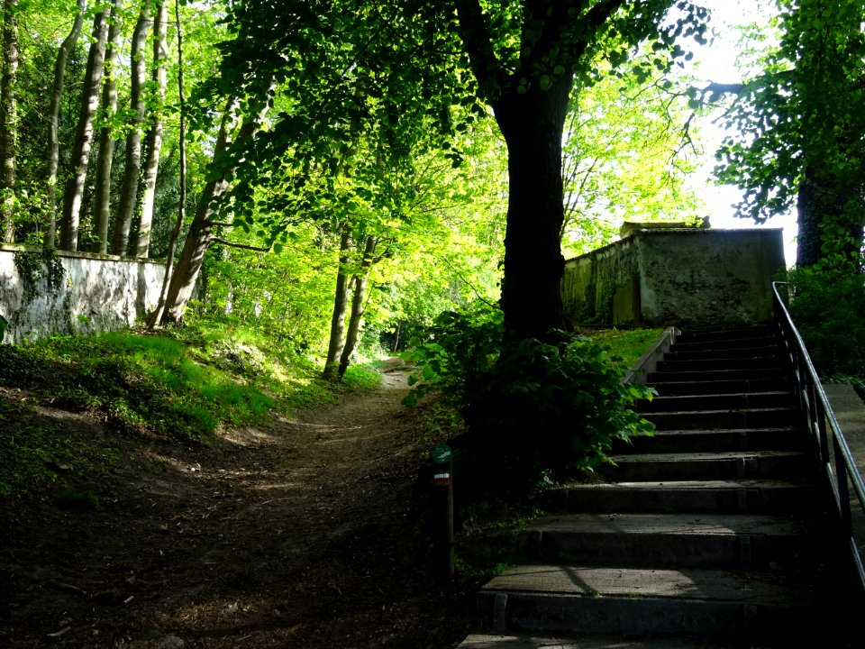 Escaliers, GR et sous-bois, juste à côté de l'église Notre… 