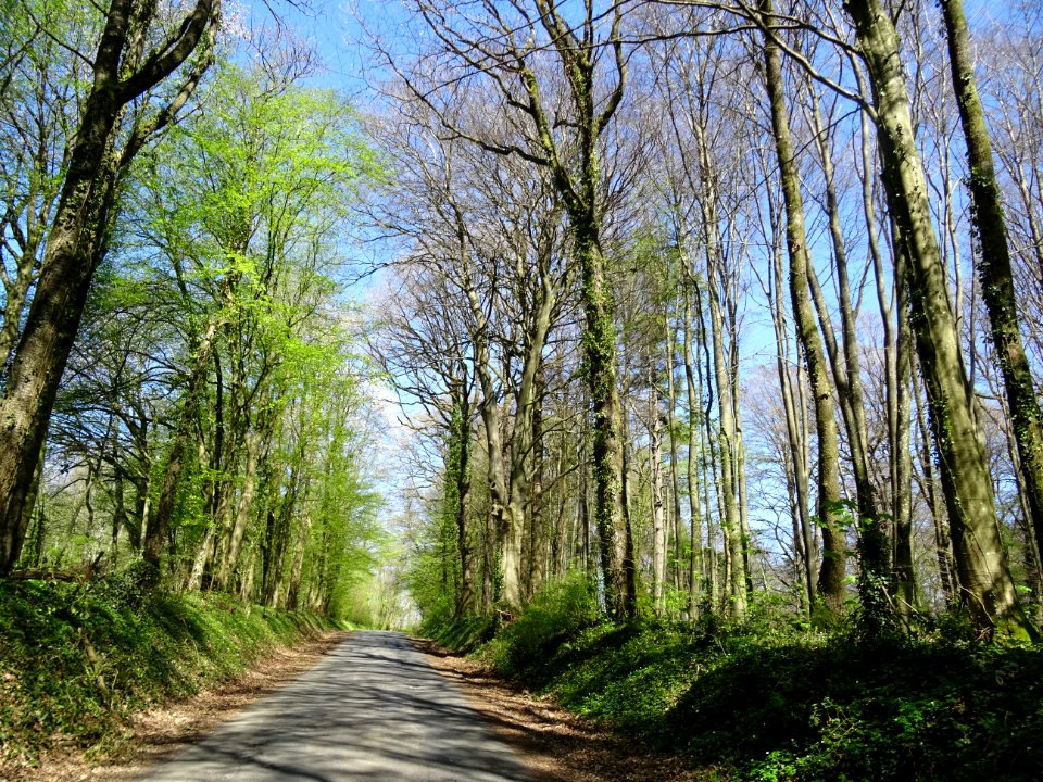 Cette petite route s'appelle Rue de la Garenne et file à… 