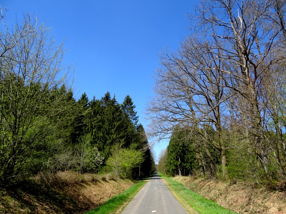 Après Fleigneux, la route D29, file droit au nord vers la … 