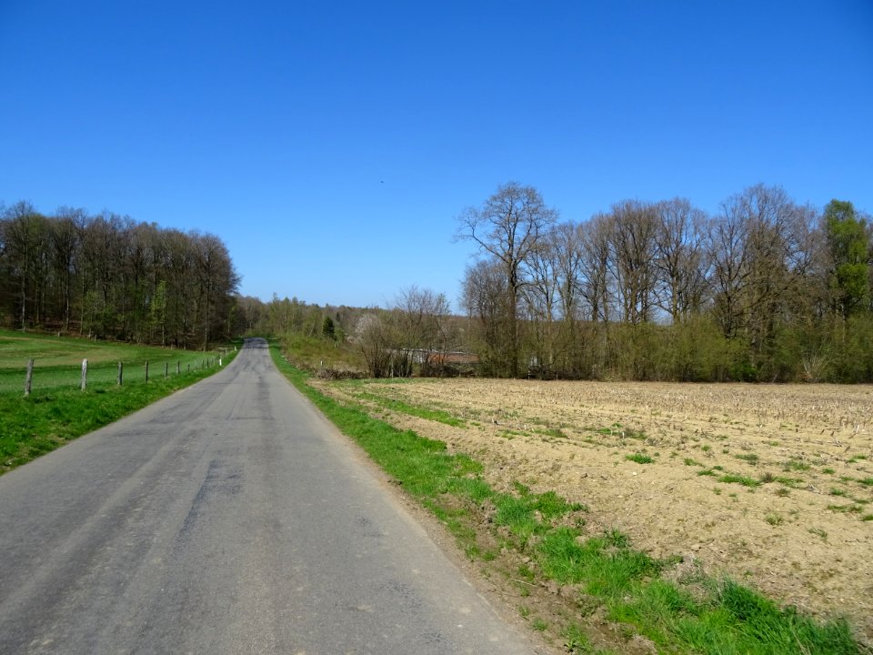 La route entre Bagimont et Bohan, Ardenne Namuroise, Belgi… 