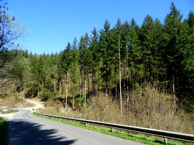Descente rapide vers Bohan, Ardenne Namuroise, Belgique 