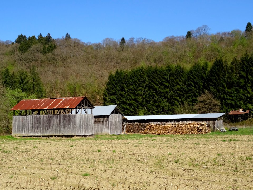 Hangars agricoles et tas de bois, Bohan, Ardenne Namuroise… 