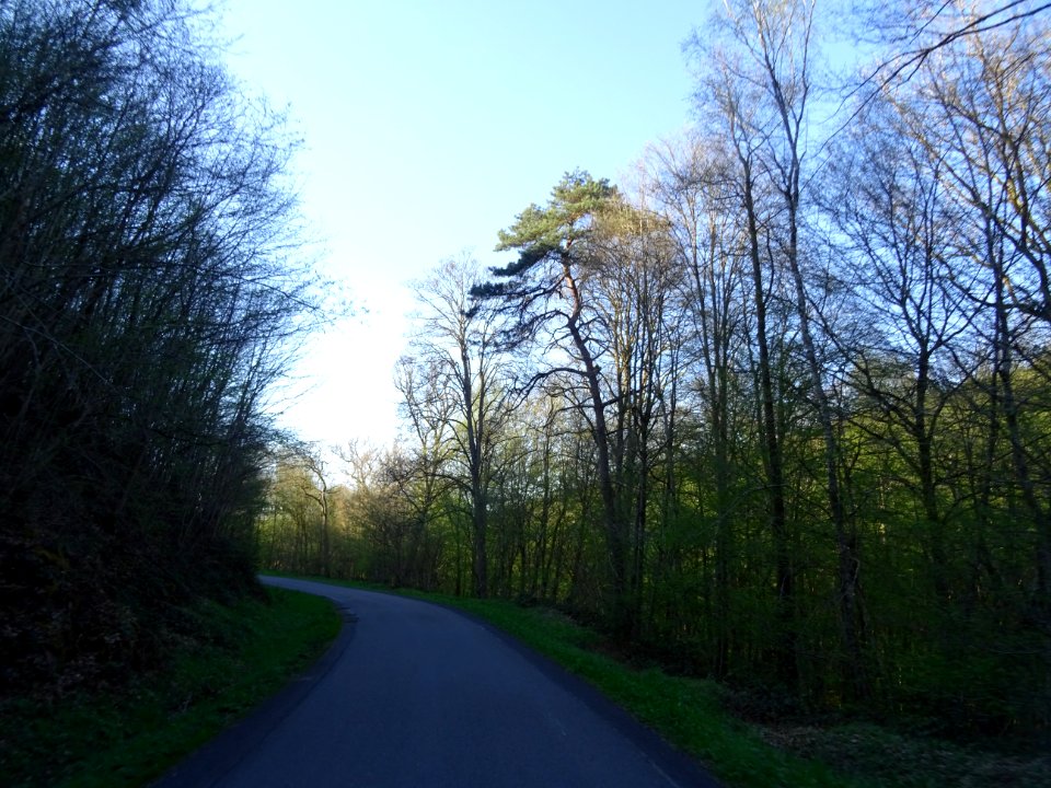 Descente de 8 km dans le Bois de Haybes, Haybes, Ardennes 