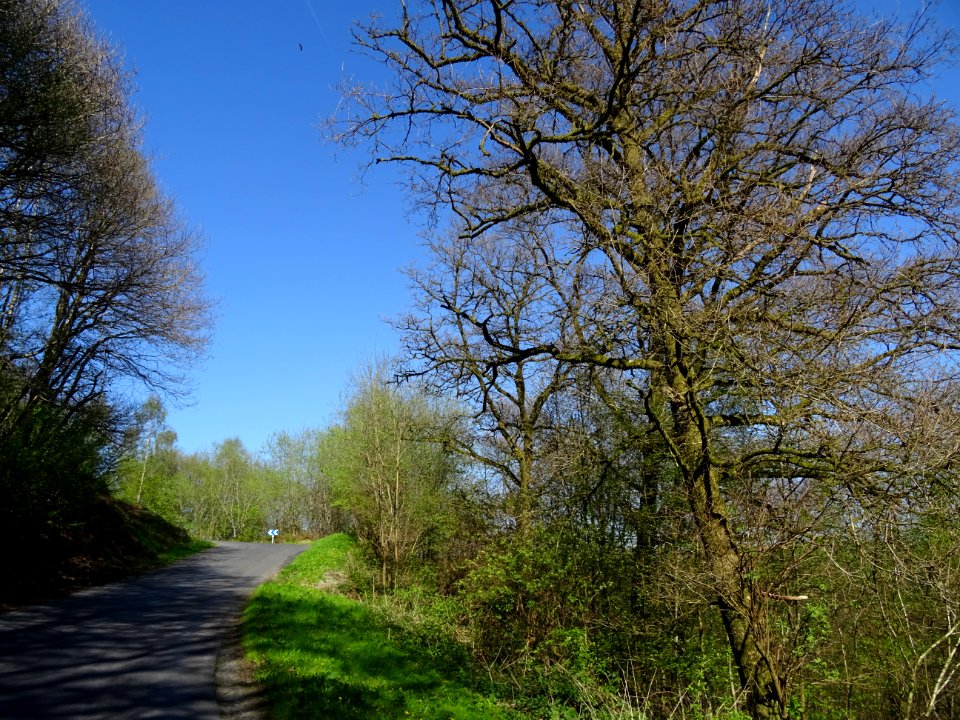 Courte mais rude montée au col de Liry, versant Haulmé, Ar… 