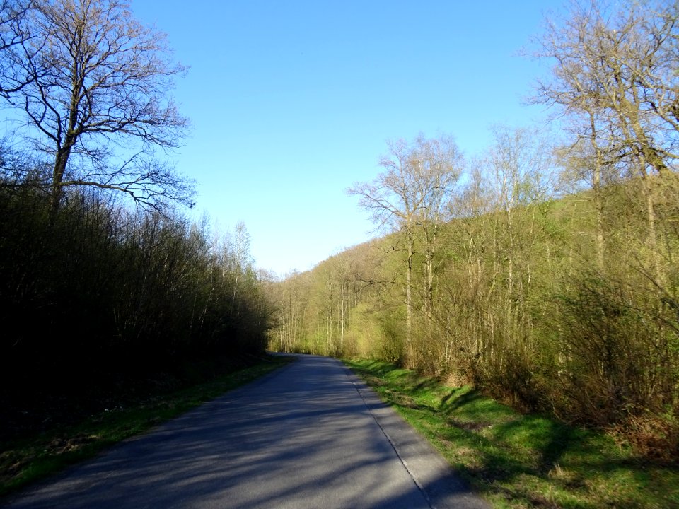 Descente de 8 km dans le Bois de Haybes, Haybes, Ardennes 