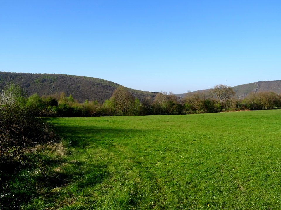 Prairie avant Haybes, Ardennes 