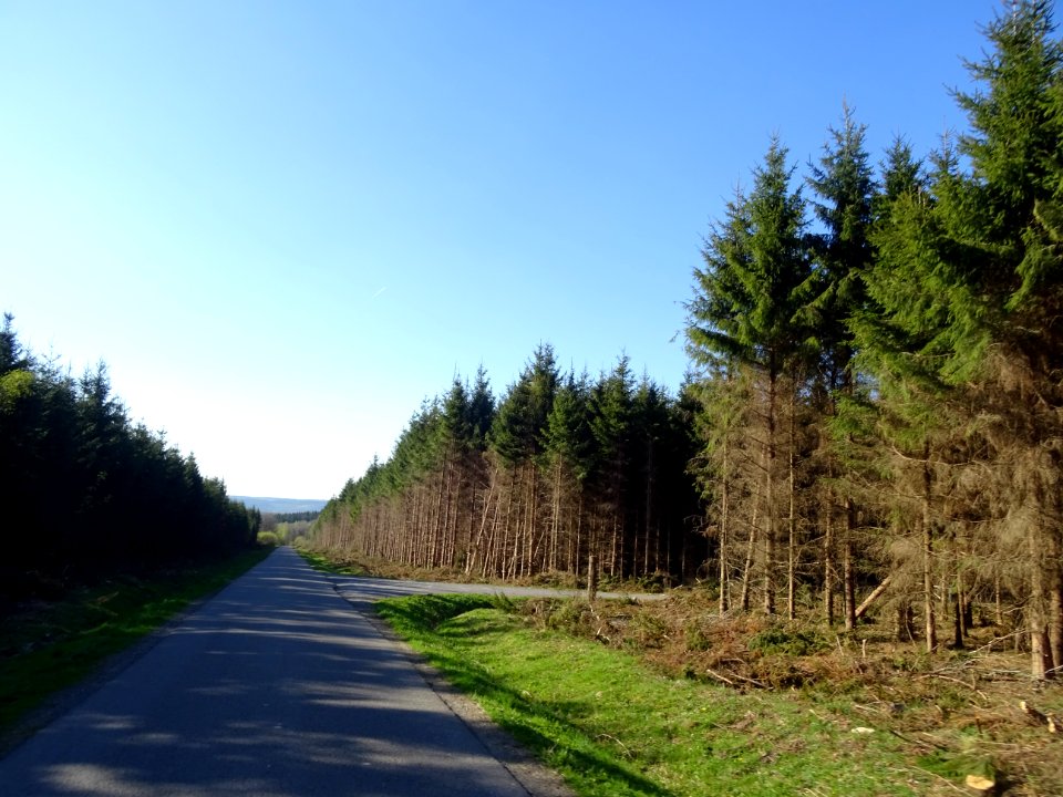 Descente de 8 km dans le Bois de Haybes, Haybes, Ardennes 