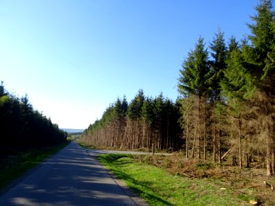 Descente de 8 km dans le Bois de Haybes, Haybes, Ardennes 