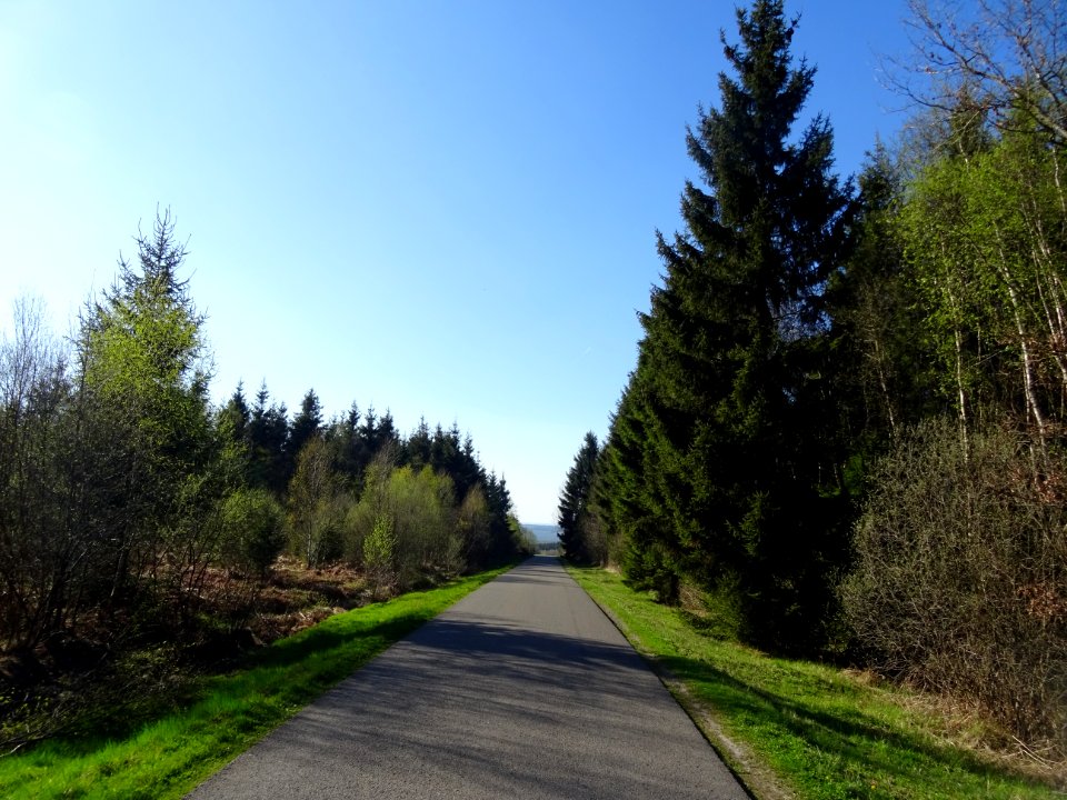 Descente de 8 km dans le Bois de Haybes, Haybes, Ardennes 