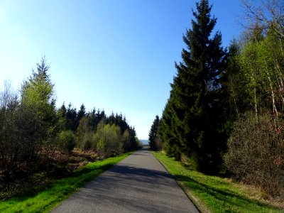 Descente de 8 km dans le Bois de Haybes, Haybes, Ardennes 