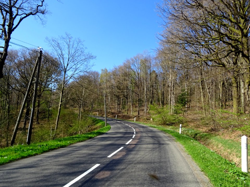 La D989 s'élève dans la forêt domaniale de Château Regnaul… 