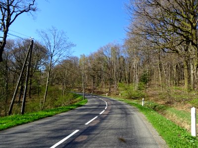 La D989 s'élève dans la forêt domaniale de Château Regnaul… 