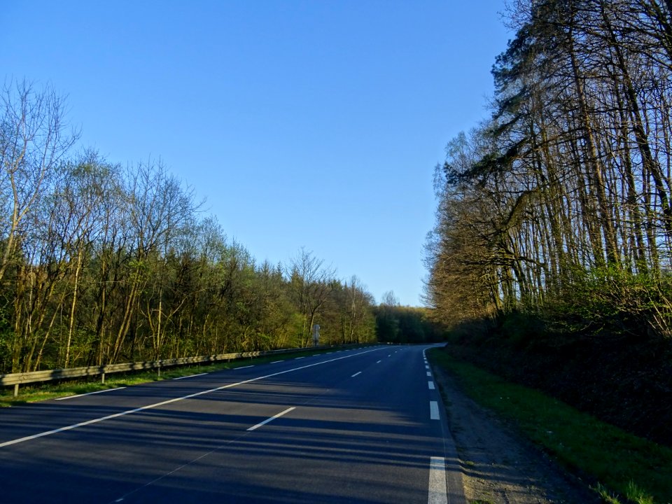 Dernière rude montée par la D988 dans le Bois des Marquisa… 
