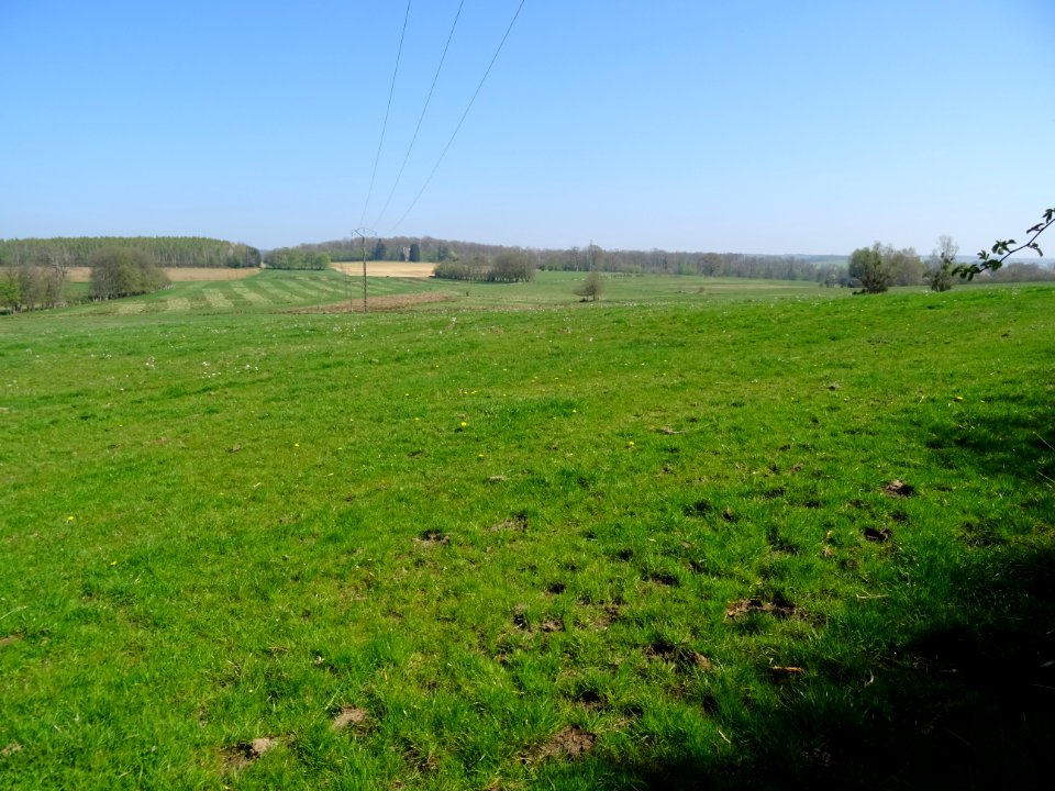 Une belle prairie entre Vrigne-aux-Bois et St-Mengès, Arde… 