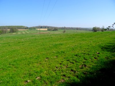 Une belle prairie entre Vrigne-aux-Bois et St-Mengès, Arde… 