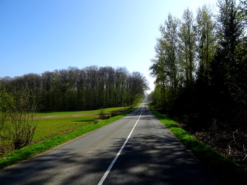 La D5 entre Vrigne-aux-Bois et St-Mengès, Ardennes 