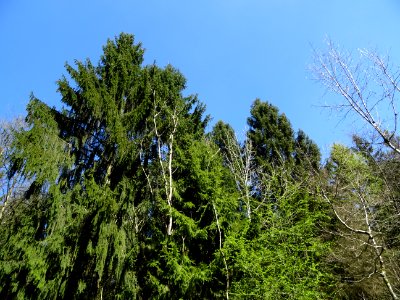 DSC01943 