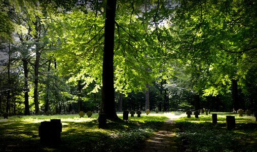 Crosses cemetery last off
