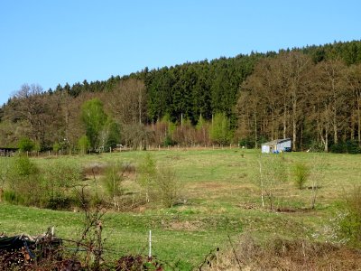 La cabane 