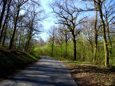 Courte mais rude montée au col de Liry, versant Haulmé, Ar… 