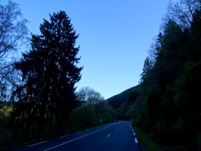 Dernière rude montée par la D988 dans le Bois des Marquisa… 