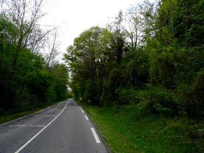 La D119 monte dans la Forêt Domaniale de Beynes, Yvelines 