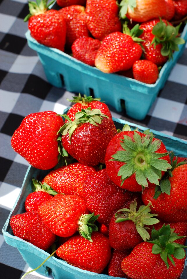 Berry agriculture summer