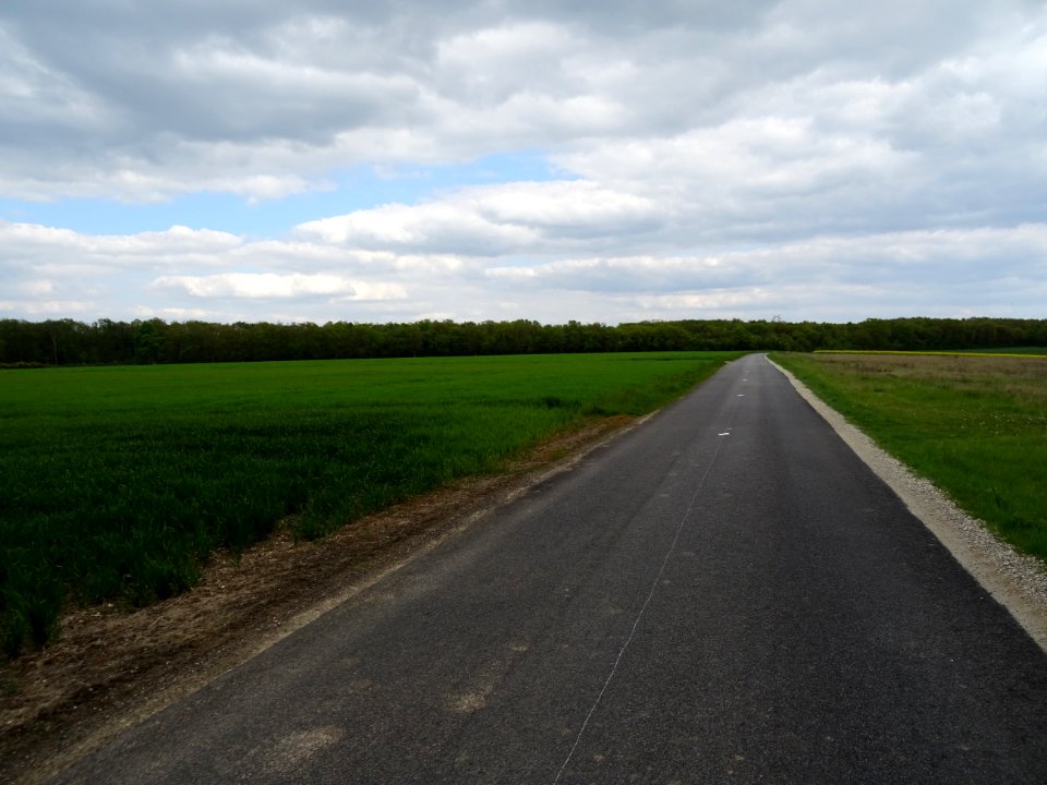 La D21 entre Rouvres et la Haye, Eure-et-Loir 