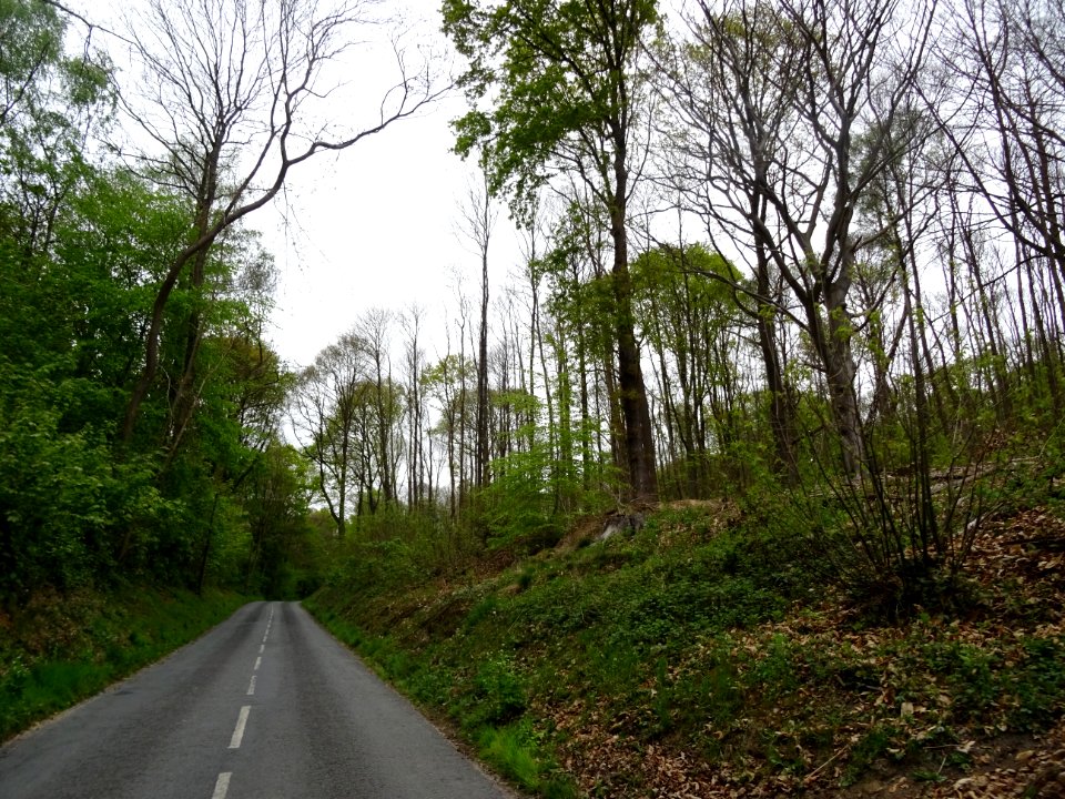 Entre Taverny et Béthemont-la-Forêt, Val-d'Oise 
