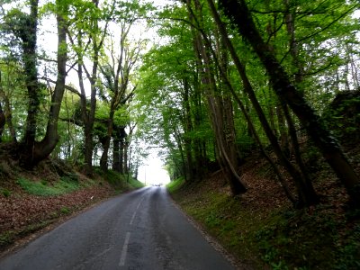 Entre Taverny et Béthemont-la-Forêt, Val-d'Oise 
