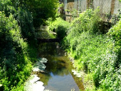 Petit cours d'eau avant Saint-Germain-sur-Vienne, Indre-et… 