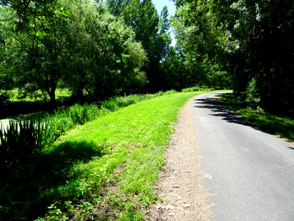 La petite route longe le Thouet, près de Lenay, Montreuil-… 