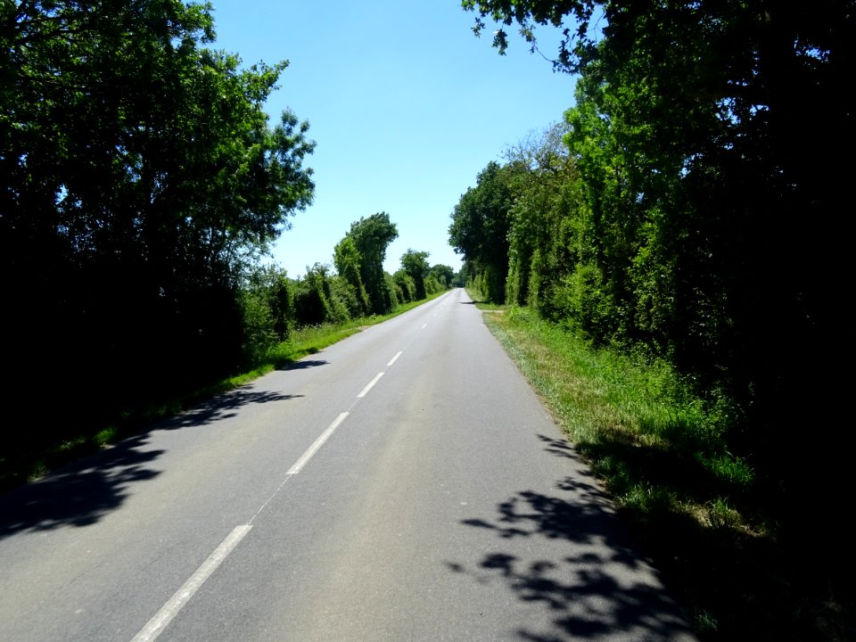 Ligne droite avant Le Breuil-sous-Argenton, Deux-Sèvres 