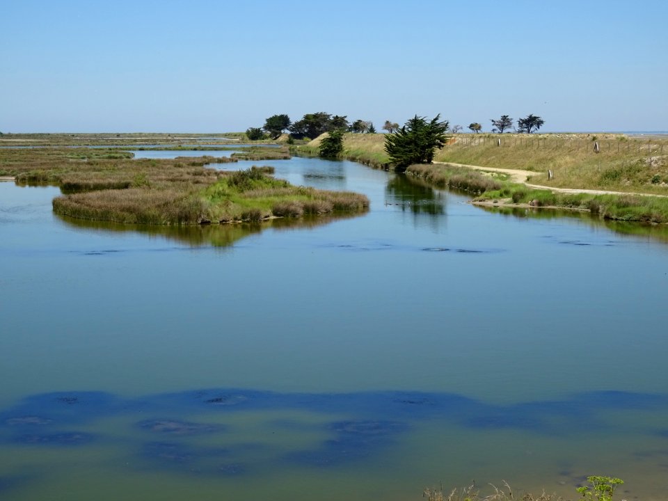 Polder de Sébastopol, île de Noirmoutier, Vendée 
