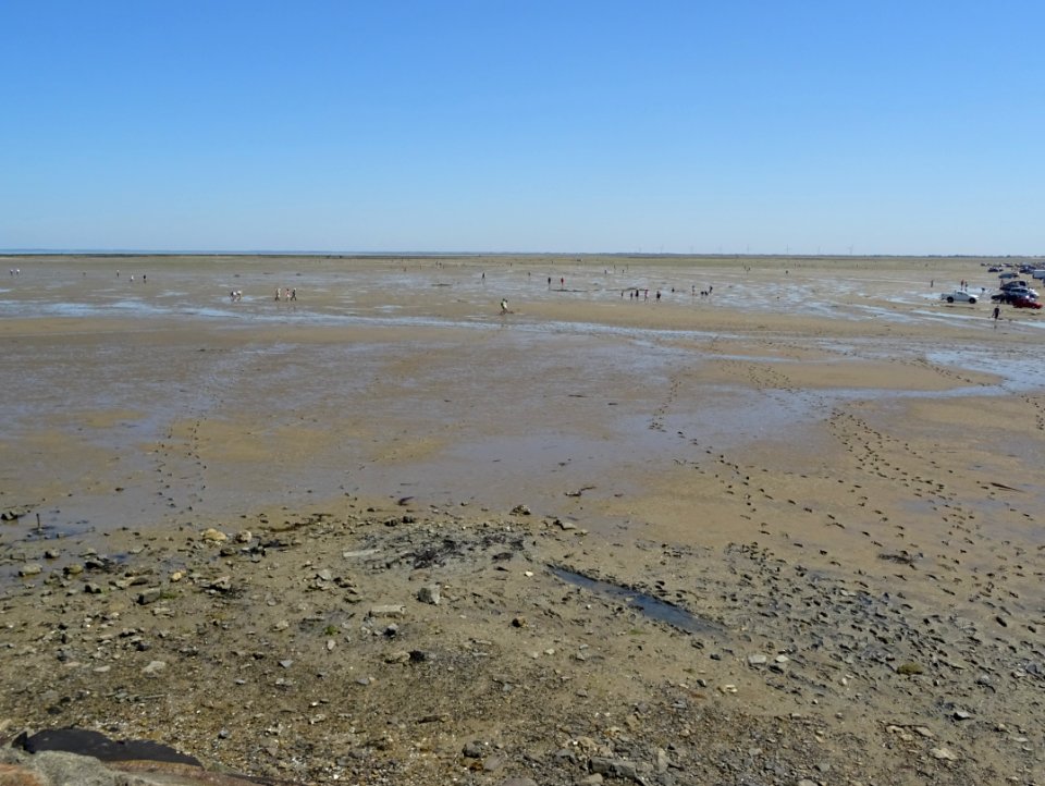 Marée basse, île de Noirmoutier, Vendée 