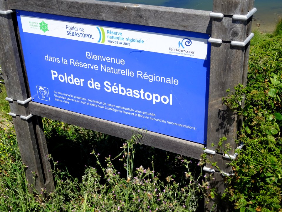 Polder de Sébastopol, île de Noirmoutier, Vendée 