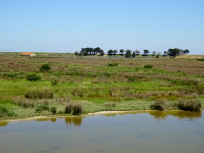 Polder de Sébastopol, île de Noirmoutier, Vendée 